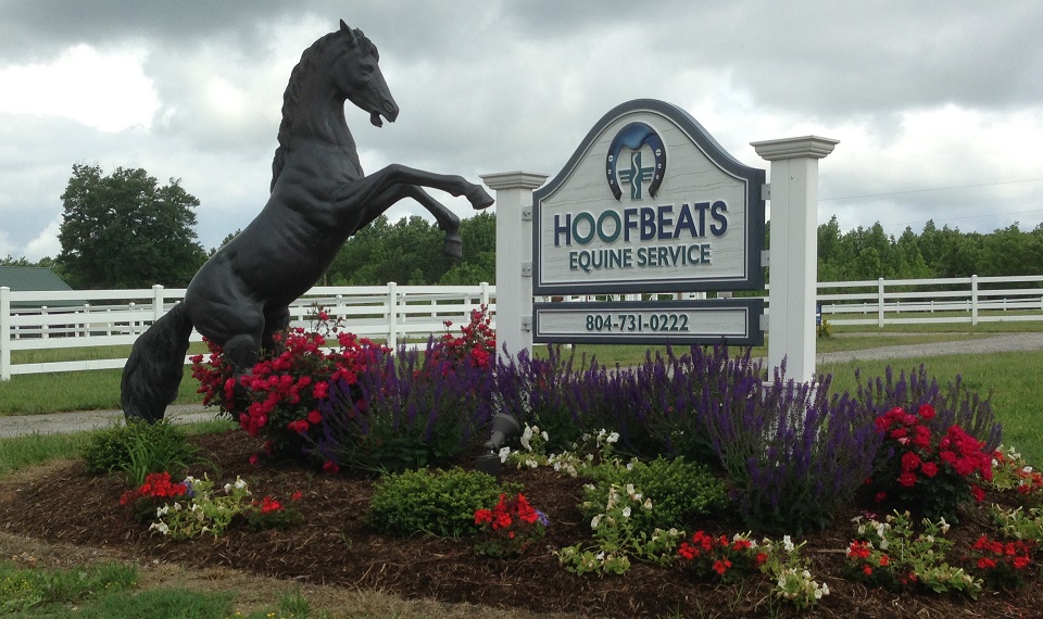 Hoofbeats Equine Service, an equine veterinary clinic signage and logo with a horse statue on a flower field - Equine Veterinarian Hoofbeats Equine Service, an equine veterinary clinic signage and logo with a horse statue on a flower field - Equine Veterinarian